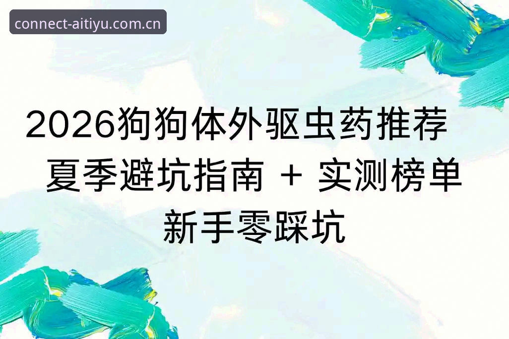 爱体育平台2026登录避坑指南：V3版升级后我踩过的三个坑与解法